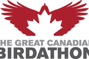 Great Canadian Birdathon Sponsorship