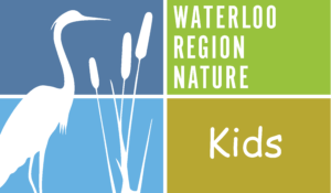 WRN Kids Logo