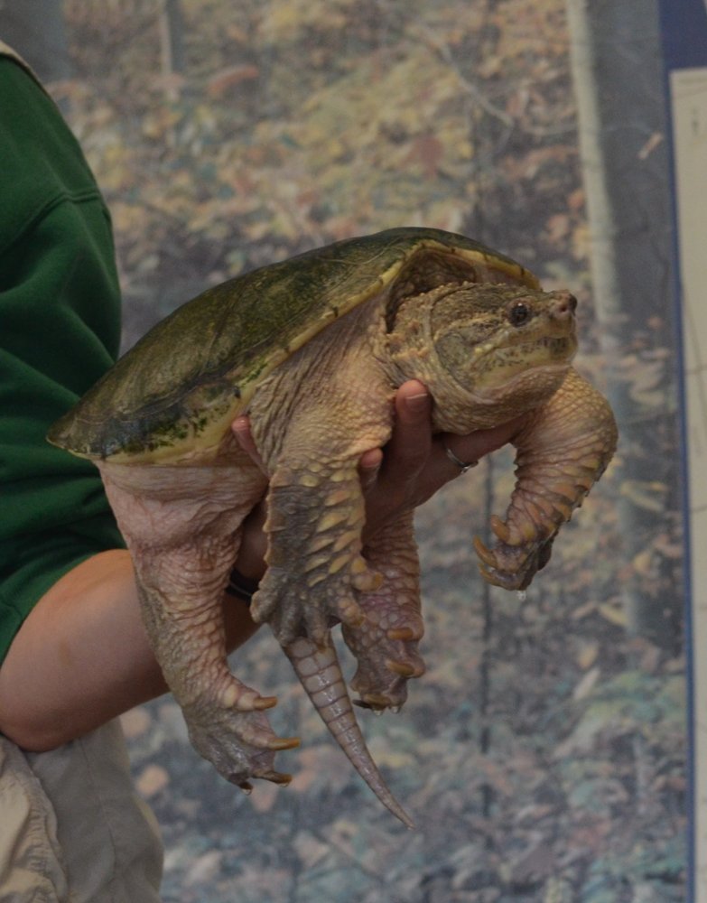 KitchenerWaterloo Earth Day Waterloo Region Nature