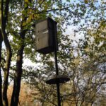 Wood Duck Boxes at Montgomery 2023