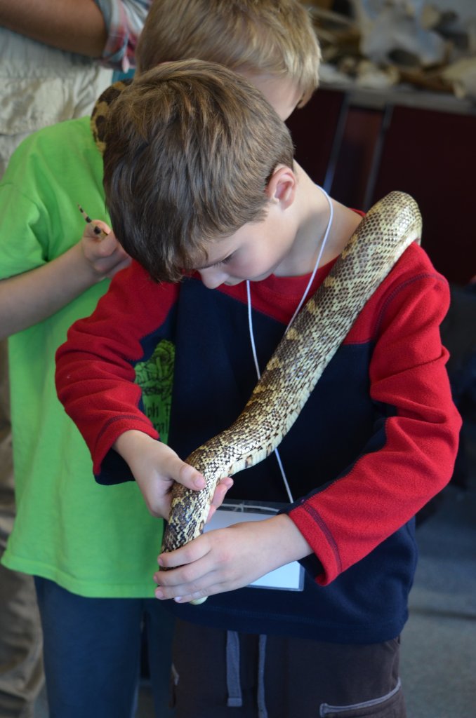 boys holding a snake