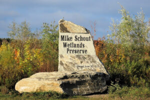 Outing to Mike Schout Wetlands Preserve