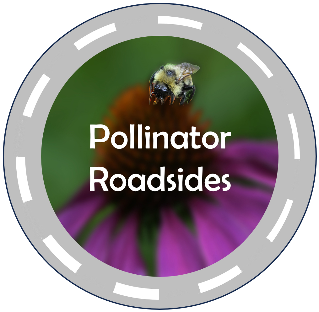 The text pollinator roadsides is displayed over an image of a bee on a purple flower