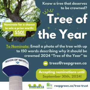 Details on the tree of the year contest weith a picture of a tree