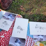 BFCK – Lakeside Bird Walk and Junco Sketch Sesh – October 13, 2025